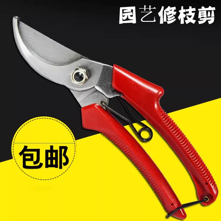 园林花木修剪绿篱剪大剪刀园艺绿化草坪修枝剪工具篱笆剪树枝果剪图片