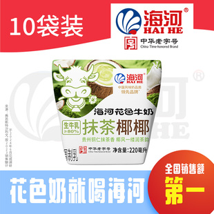 海河牛奶新品抹茶椰椰220ml*10袋国有牧场生牛乳≥80%风味牛奶
