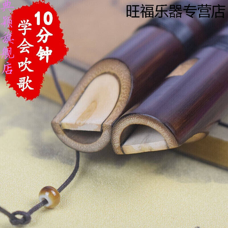 天鸣Tianming玉屏竖笛6孔成人初学乐器无膜六孔素笛演奏f调哨笛苦