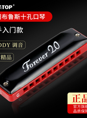 东方鼎Forever20口琴蓝调布鲁斯十孔10孔初学专业学生用paddy音调