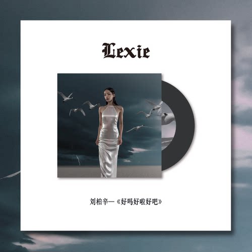 tinyl刘柏辛3寸黑胶唱片玩具礼物