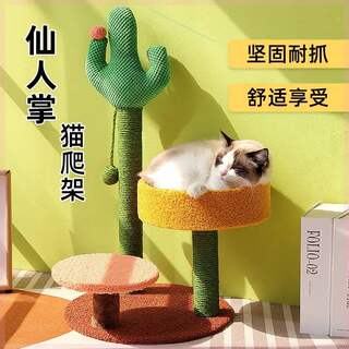 乐景猫网红仙人掌猫爬架 花朵猫窝猫树猫架猫跳台小型猫咪玩具1