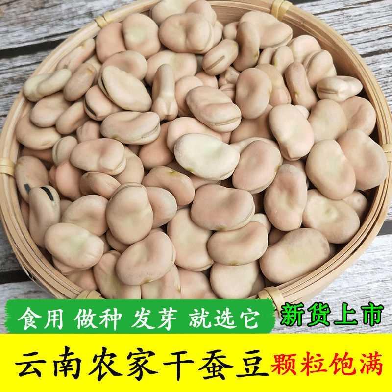 年干新货2024蚕豆农家生蚕豆生的罗汉豆干货馋豆新鲜蚕豆种子胡豆-封面