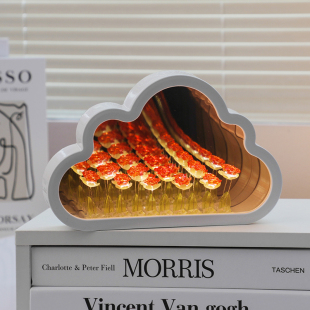 云朵镜子花海玫瑰花小夜灯diy手工材料送女友生日礼物女生情人节