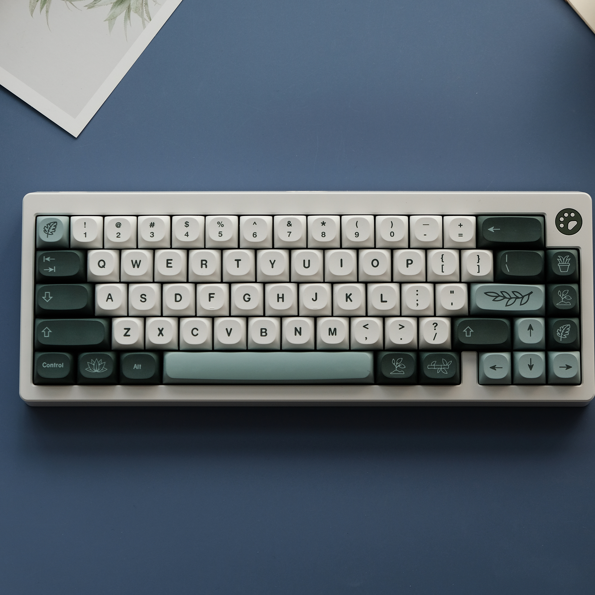 MA高度球帽植物园键帽