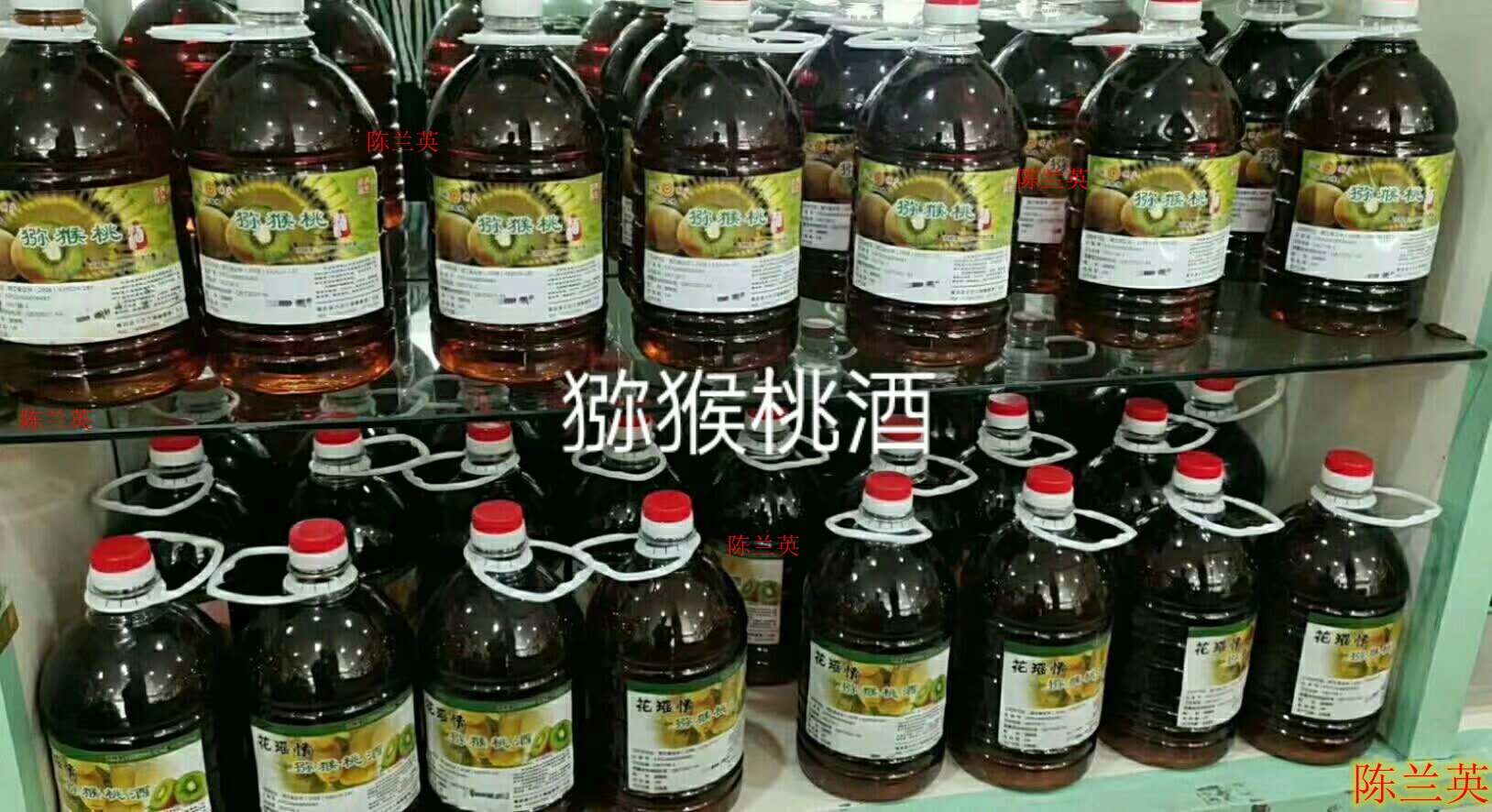 湖南湘西邵阳土特产隆回小沙江花瑶弥猴桃酒高山酒送礼佳品