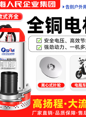 SRM上海人民直流潜水泵12V24V48V60V72V农用灌溉小型电动车抽水泵