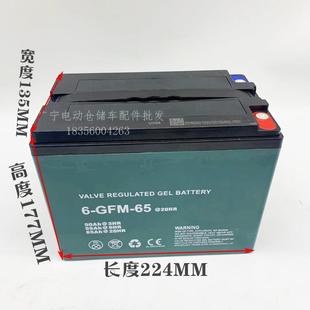 GFM 电动叉车电池小金刚铅酸电瓶地牛配件6 65A蓄电池12V原厂