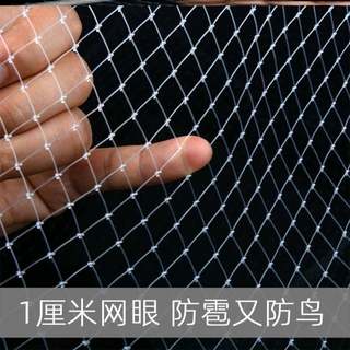单丝透明钓鱼线网片鱼网鱼塘果园防鸟用的网防护网