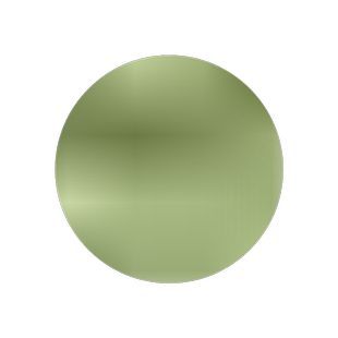 新型特高产巨菌草种子多年生四季牧草养猪牛羊鱼畜牧草籽一年四季