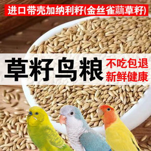 草籽鸟粮鹦鹉粮鸟粮鸽粮宠物鸟食鹦鹉外出包加纳利子油葵稗子稻谷