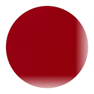 非洲菊花种子重瓣非洲菊种籽四季易种活阳台室内室外盆栽花卉种子