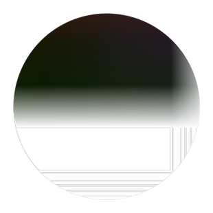 菊花种子盆栽阳台室内花卉种籽贡菊野生菊花泡茶杭白菊种孑菊花籽