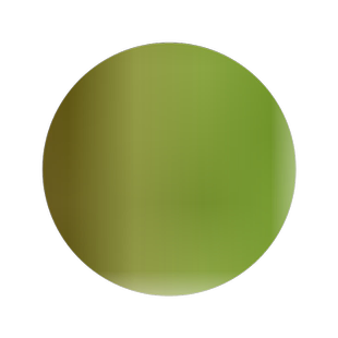 旱荷花种子旱金莲花草四季易种室内花卉睡莲碗莲种子阳台盆栽花籽