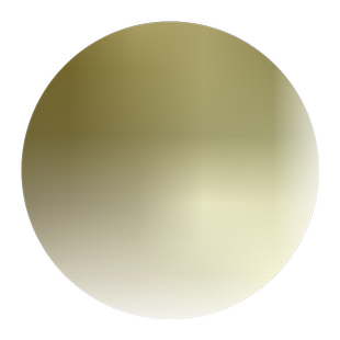 新黄荆条种子荆条树种子蜜源植物荆条花种子杜荆柴黄金子灌木包邮