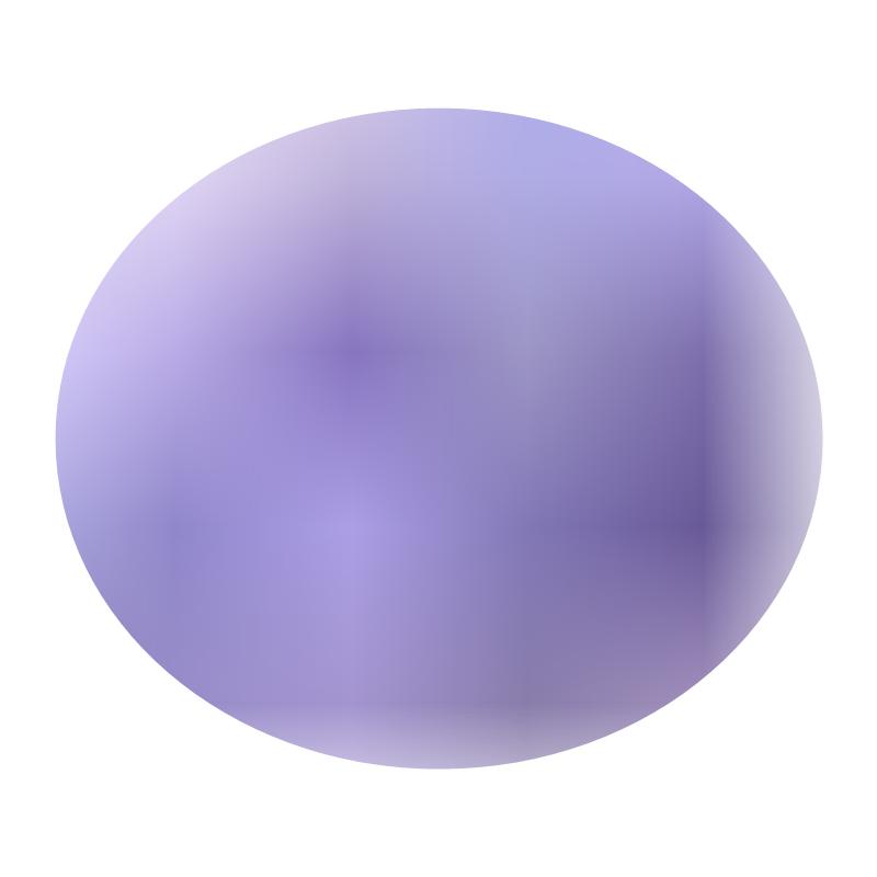 大花飞燕草种子多年生植物宿根花籽庭院耐寒花卉花种籽孑易活易种