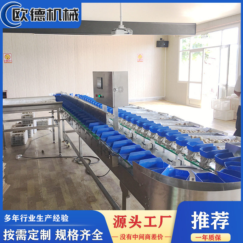 家禽食品分选机分拣秤鸡腿自动上料分选机肉类在线称重分级快速
