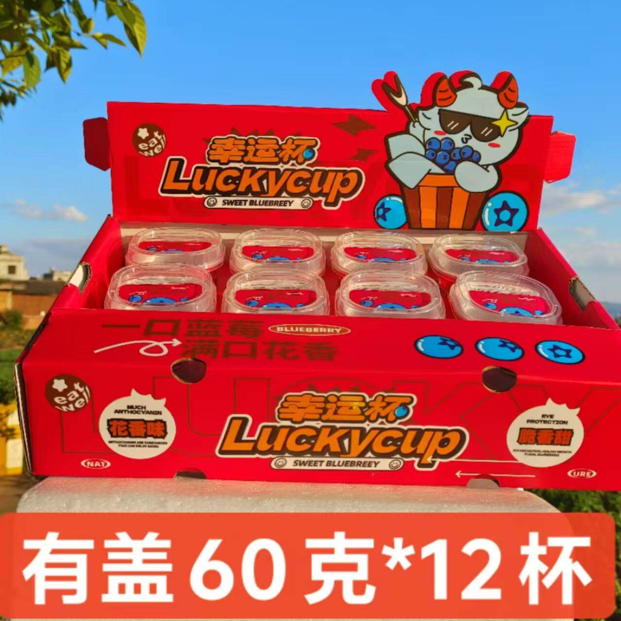 脆甜带花香蓝莓高原露天头茬果