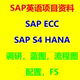 SAP英语项目学习资料包括FS调研配置文件蓝图流程图手册S4HANA