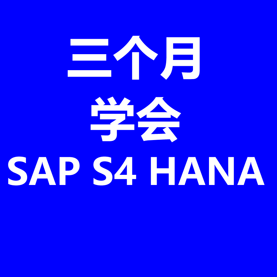 三个月学会SAP S4 HANA FICO MM PP SD配置及前台操作2023PDF文档