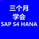 HANA SD配置及前台操作2023PDF文档 FICO 三个月学会SAP
