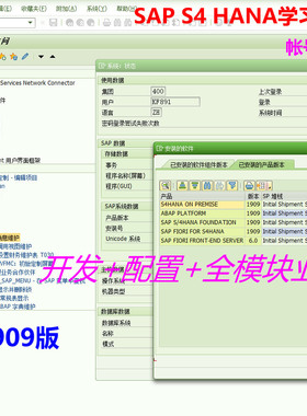 SAP S4H 1909版帐号出租永久有效开发配置全模块业务多种登录方式