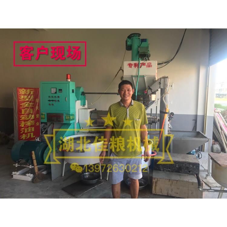 榨油机130型榨油机免炒料榨油机冷榨机榨油菜仔榨花生榨大豆