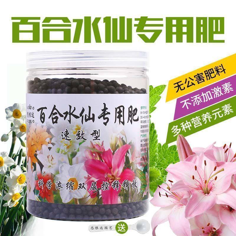 百合肥料水仙专用肥料催花促花肥开花缓释有机肥料盆栽植物营养液
