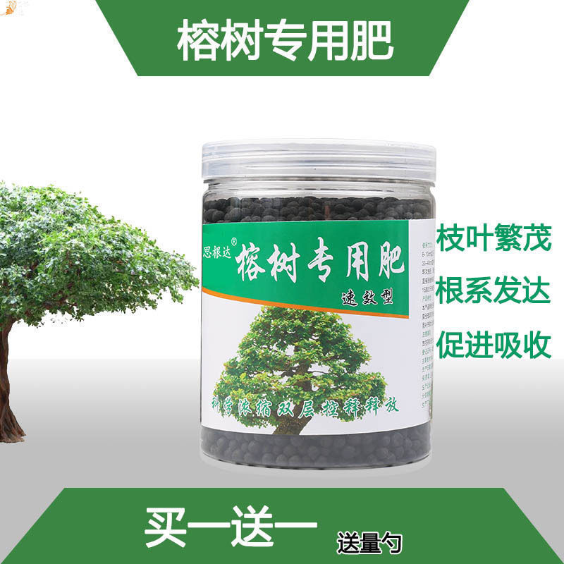 人参榕树肥料专用肥盆景肥料