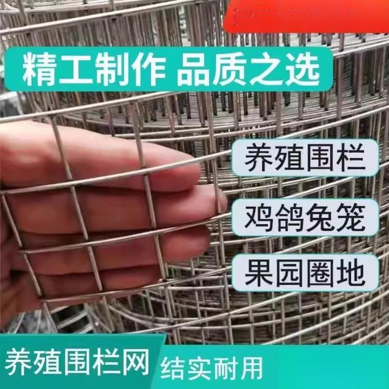热镀锌铁丝网围栏网养殖网钢丝网拦鸡网建筑网防护网铁网格玉米网