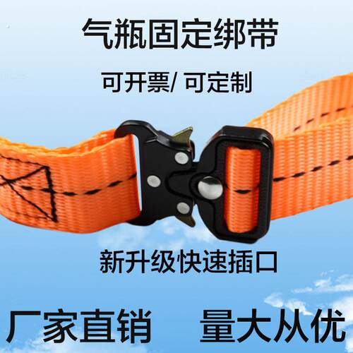 气瓶固定绑带钢瓶固定架绑带尼龙绑带捆绑车用防静电气瓶固定带链