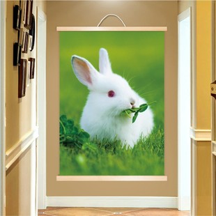 饰实木挂轴墙画沙发壁画早教挂画 动物画兔子海报可爱萌宠小白兔装