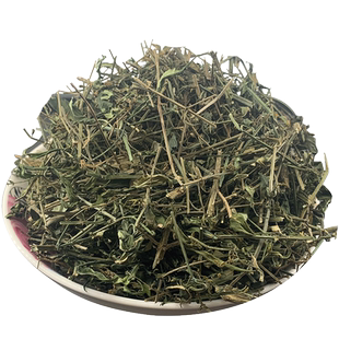 新鲜带叶 穿心莲500g克茶穿心连一见喜榄核莲苦胆草金香草