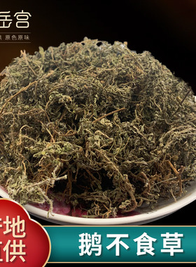 鹅不食草500g新鲜鹅不食草药干鹅不吃草可打粉旗舰店正品