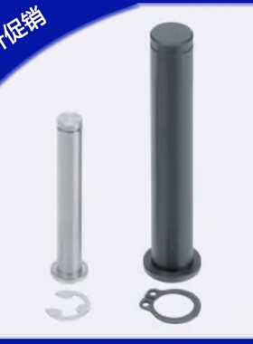 SHCDG3/4/5/6/8/10/12铰链销带肩扣环固定型GSHCCGH SHCCG SHCCGH