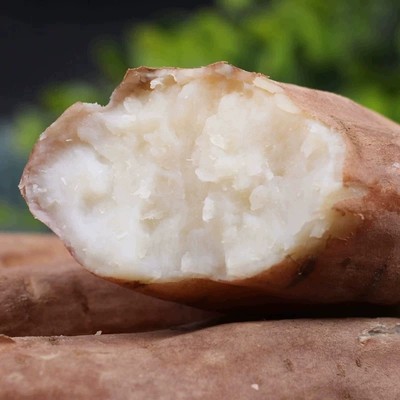 山东哈密冰糖心白薯地瓜新鲜5斤老品种山芋白心板栗超甜无丝红薯