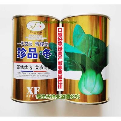 青梗菜抗寒晓富冬珍品种子口感好亮绿高产耐寒商品性佳农家秋冬播