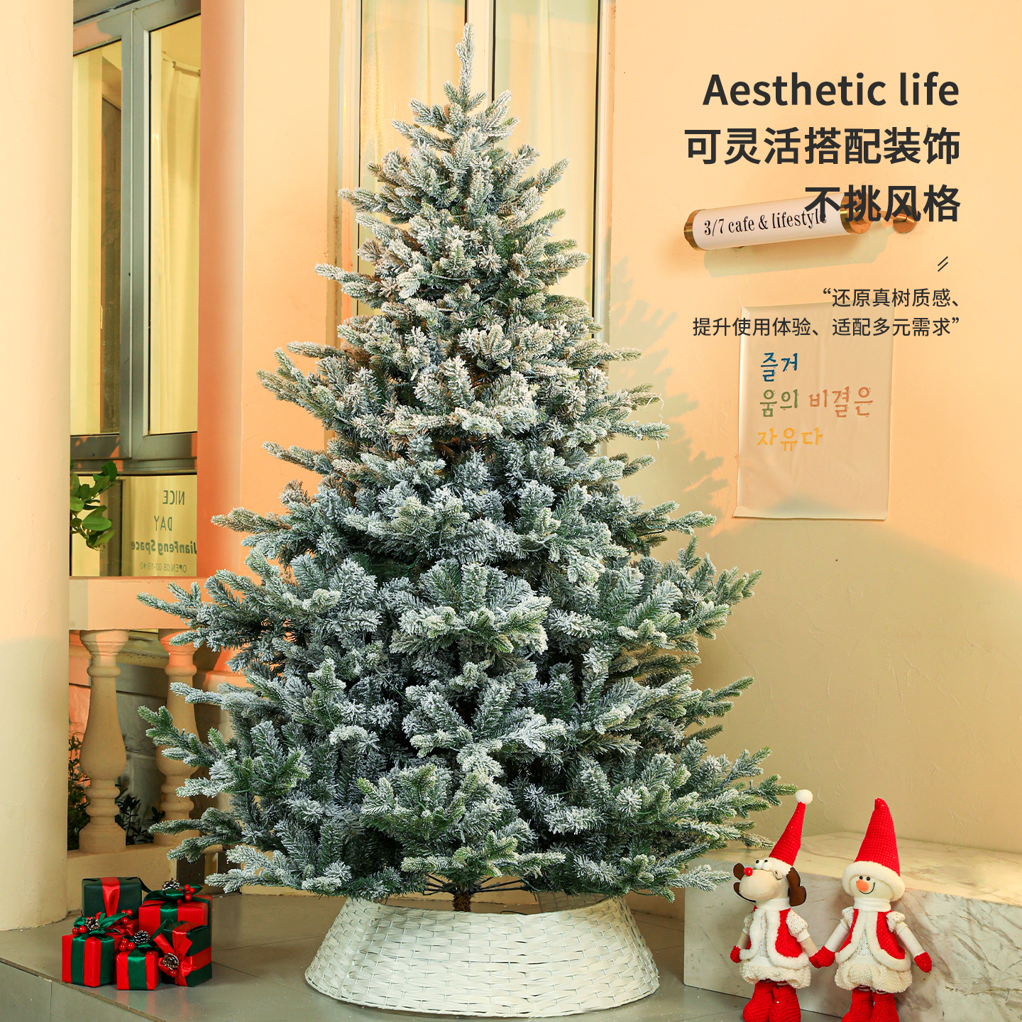 约福圣诞树冷杉树加密加密