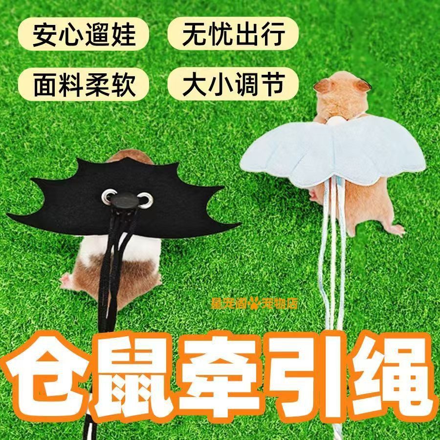 仓鼠牵引绳遛鼠绳金丝熊荷兰猪兔子外出用品大全防挣脱小宠物专用,宠物/宠物食品及用品,玩具/造景装饰,淘宝优惠券,粉丝福利购,淘宝优惠卷