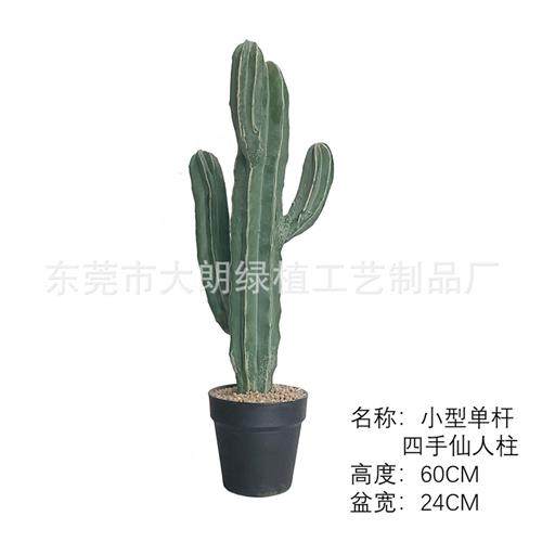 仿真仙人掌盆栽大型植物假北欧仙人柱室内场景橱窗装饰摆件量天尺,鲜花速递/花卉仿真/绿植园艺,仿真绿植,淘宝优惠券,粉丝福利购,淘宝优惠卷