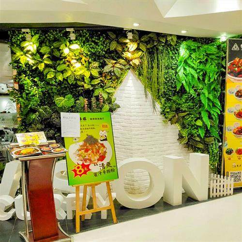 仿真植物墙网红墙面背景墙绿色塑料绿植人造草皮假花布景草坪装饰,鲜花速递/花卉仿真/绿植园艺,仿真绿植,淘宝优惠券,粉丝福利购,淘宝优惠卷