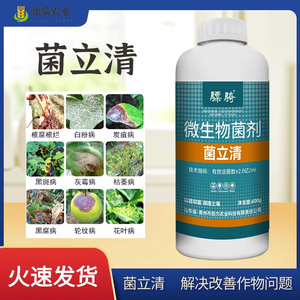 菌立清 新型微生物菌剂杀菌剂根腐灰霉病叶斑病疫菌清
