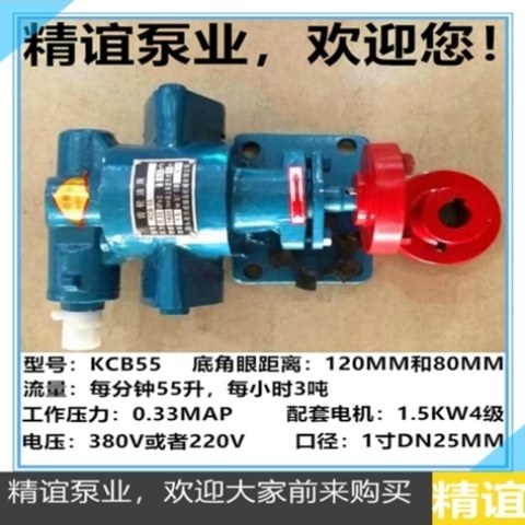 /油泵55.高温齿轮泵液压油83.33KCB18//自吸泵齿轮电动抽油泵33.3,五金/工具,其他类型泵,淘宝优惠券,粉丝福利购,淘宝优惠卷