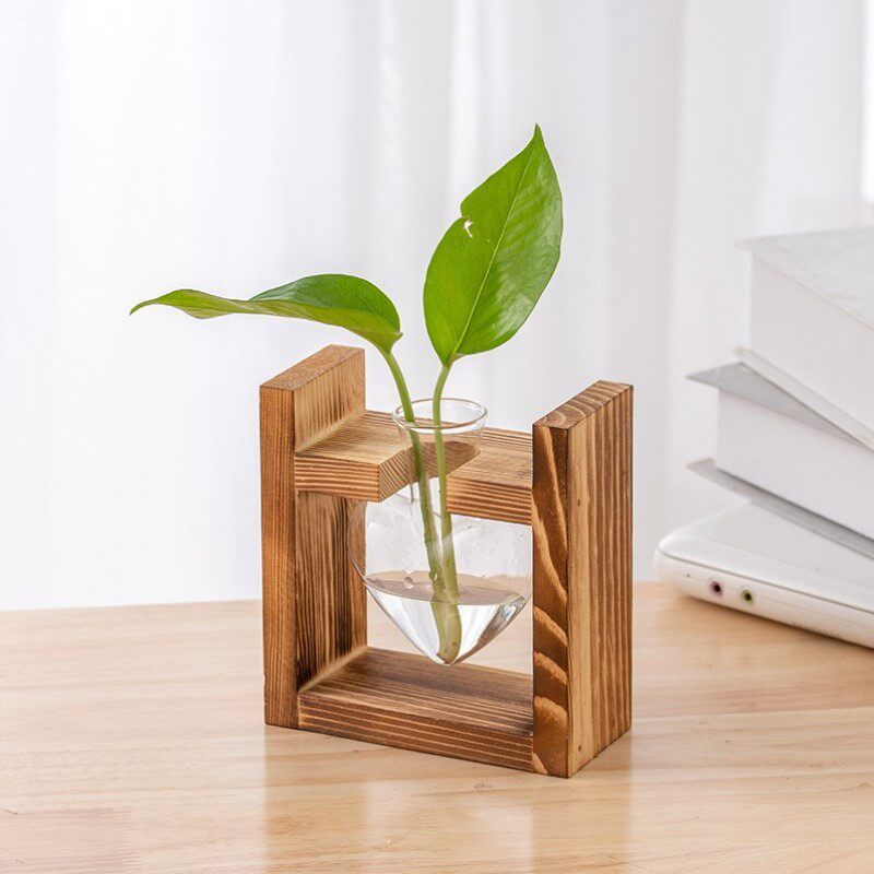 摆件小客厅植物绿萝插花容器创意花瓶水培装饰木架桌面玻璃办公室