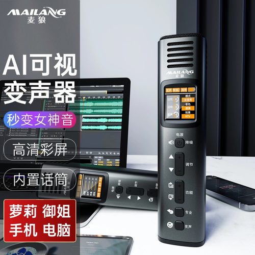 2025手机电脑实时AI可视变声器