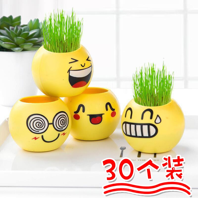 头上长草娃植物儿童种植迷你盆栽幼儿园礼物科学观察实验三年级