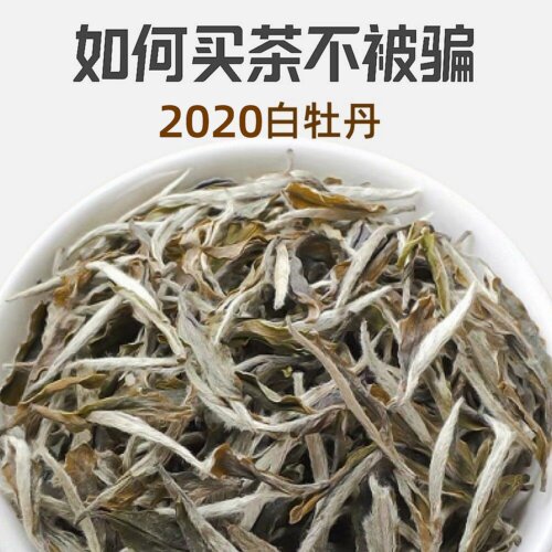 荒野白牡丹推荐榜第1名