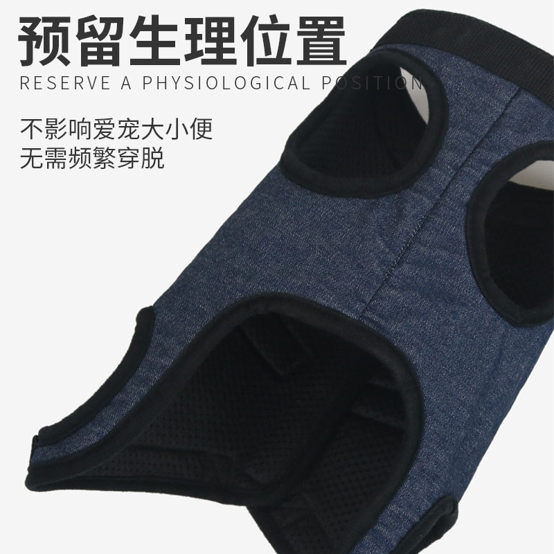 新品多功能宠物绳 狗狗外出手提带 透气宠物辅助带