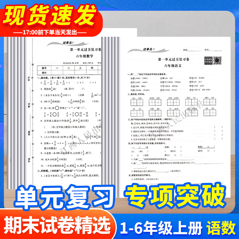 单元复习 专项突破