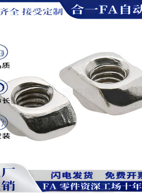 304不锈钢T型螺母 AHC31-206/308/408/4010-M4/M5/M6/M8